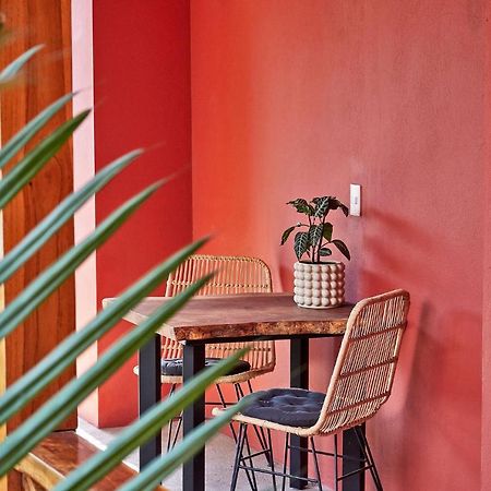 Hotel Casa Calocita à Playa Santa Teresa  Extérieur photo